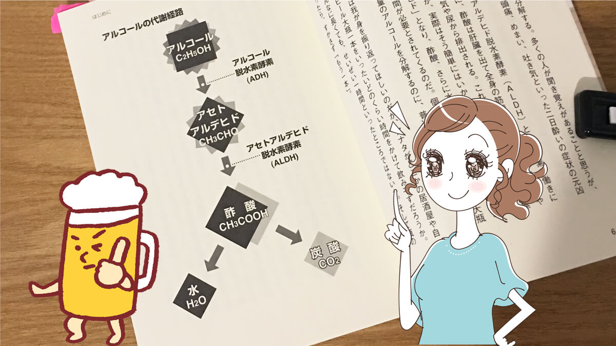 二日酔いの原因は、体内に残ったアルコールとアセトアルデヒドです。 アルコールが分解されるプロセス