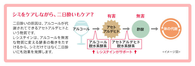 ハイチオールCに含まれるL-システインは、二日酔いに効果があります。 ハイチオールCに含まれるL-システインが二日酔いに効果