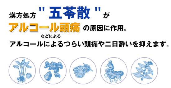 アルピタンの主成分は、漢方の五苓散(ごれいさん)です。 アルピタンの主成分は、漢方の五苓散。