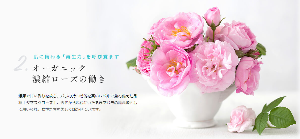 HANAオーガニックのダマスクローズ、クオリティがすごく高いです♡ HANAオーガニックのダマスクローズ