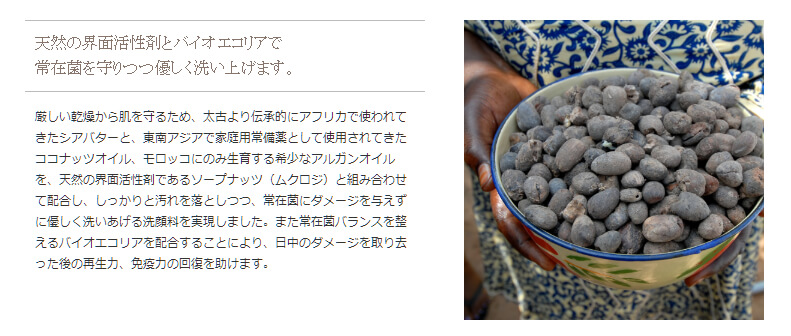 HANAオーガニックの洗顔料は、肌の常在菌にダメージを与えないように作られてます♡界面活性剤も、天然だそう。 HANAオーガニックの天然の界面活性剤、ソープナッツ(クロムジ)