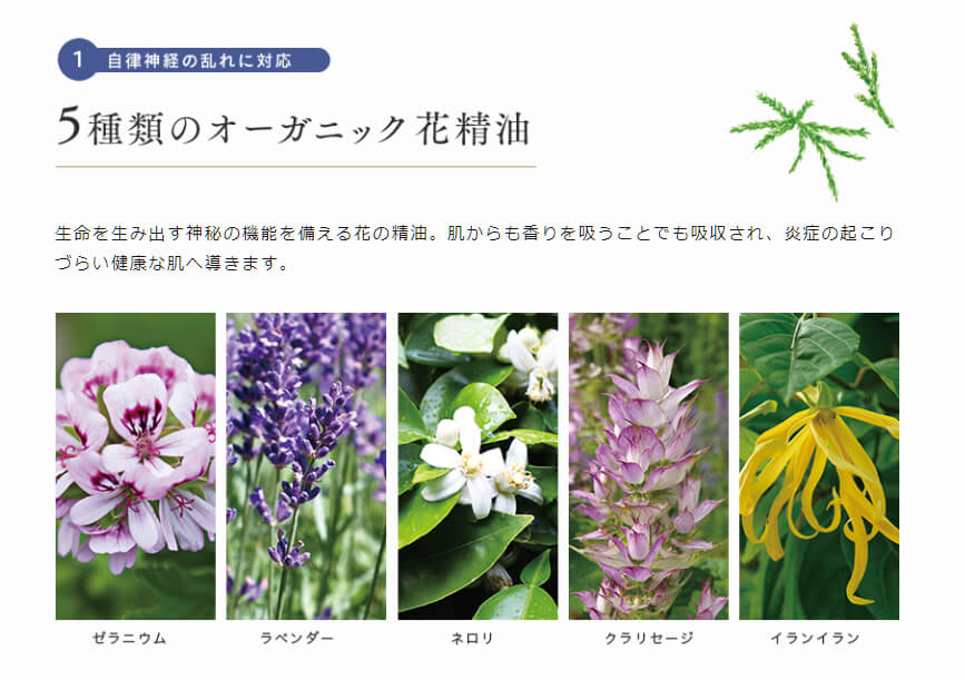 ダマスクローズをはじめ、6種類の精油が配合されてます。もちろんすべて、オーガニックです♡ HANAオーガニックに配合されている6種類の精油