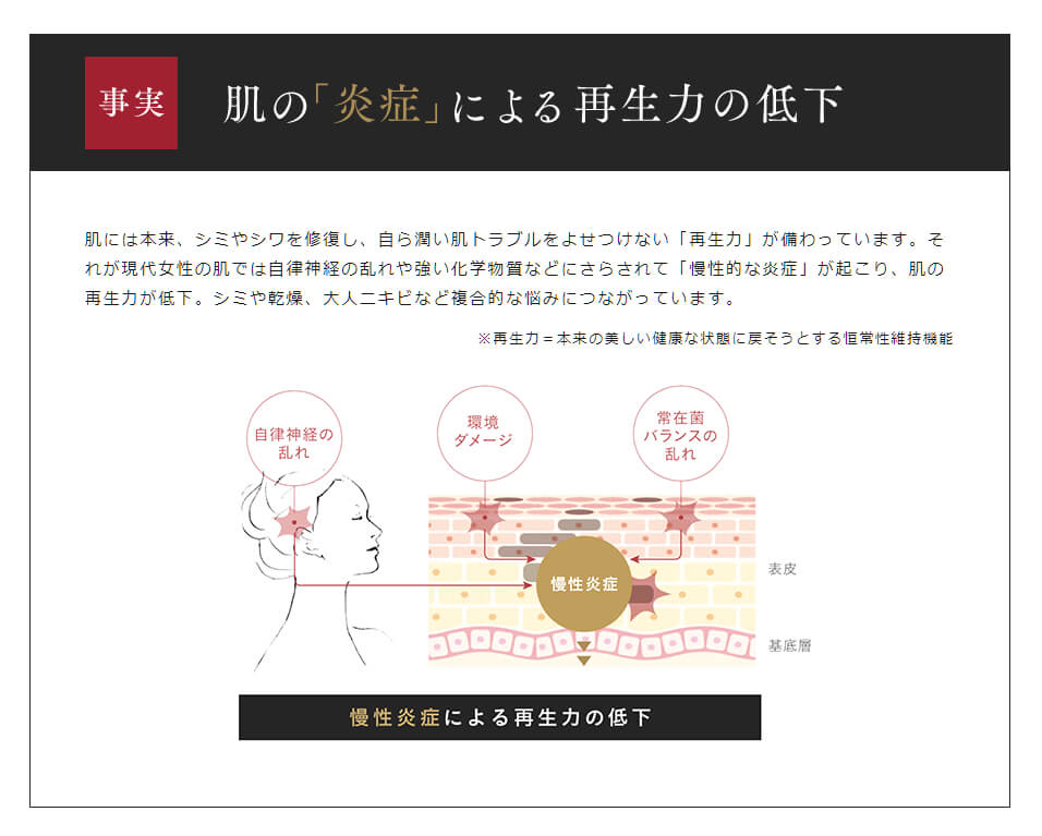 HANAオーガニックなら、最近注目され始めた、肌の慢性炎症にもちゃんとアプローチできます♡ 肌の慢性炎症を説明した図